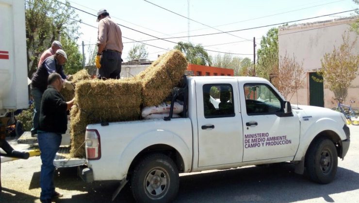 El Gobierno asiste a los pequeños productores más afectados por el fuego