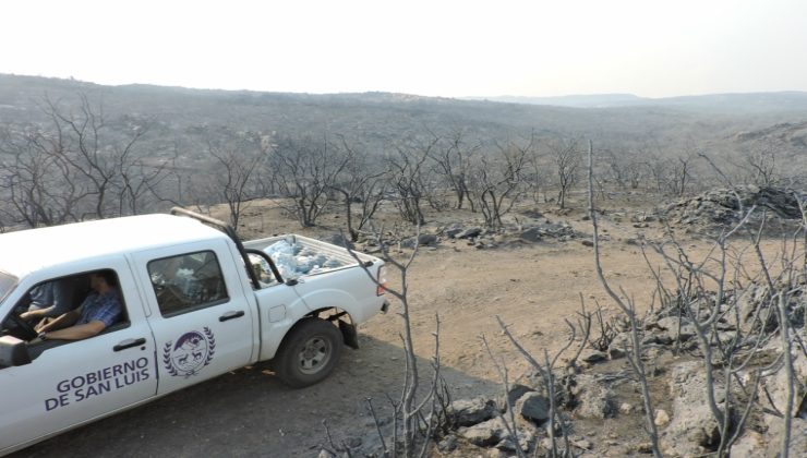 Tras los incendios, el Gobierno releva los sectores afectados por el fuego