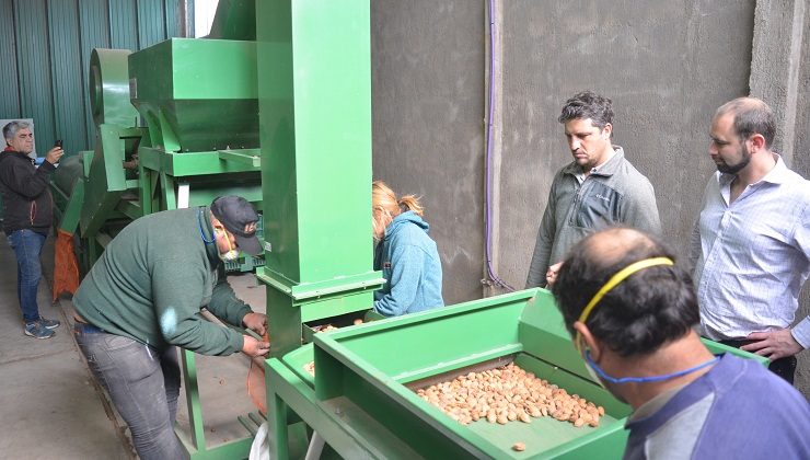 Un servicio ideal para acompañar a los pequeños productores de almendras