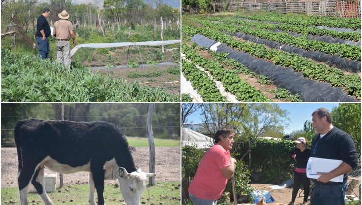 Fomento Productivo Rural: el plan que beneficia a más de 1.800 pequeños productores