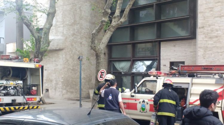 Restablecieron el servicio de internet en Villa Mercedes