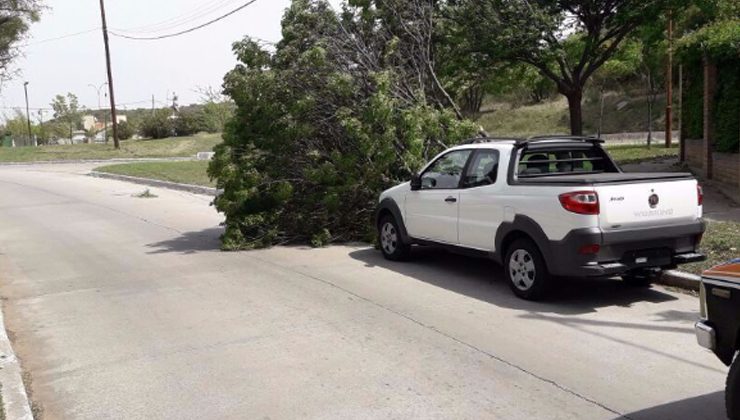 Debido al fuerte viento y a las caídas de árboles, hay cortes de luz preventivos en San Luis y Juana Koslay