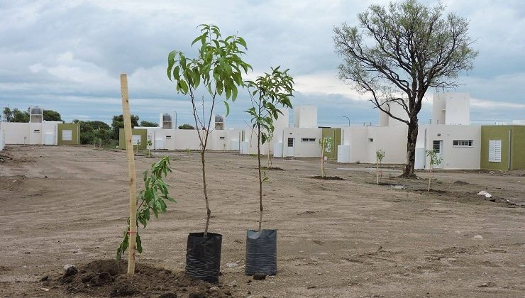 Plan de Fomento a la Fruticultura: la iniciativa productiva llega a la ciudad de San Luis