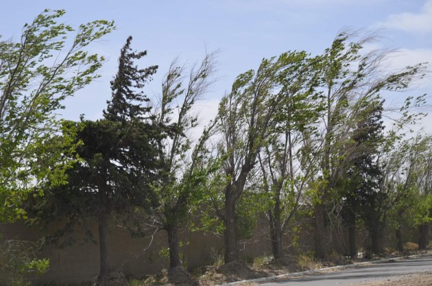 Alerta por vientos intensos en la provincia