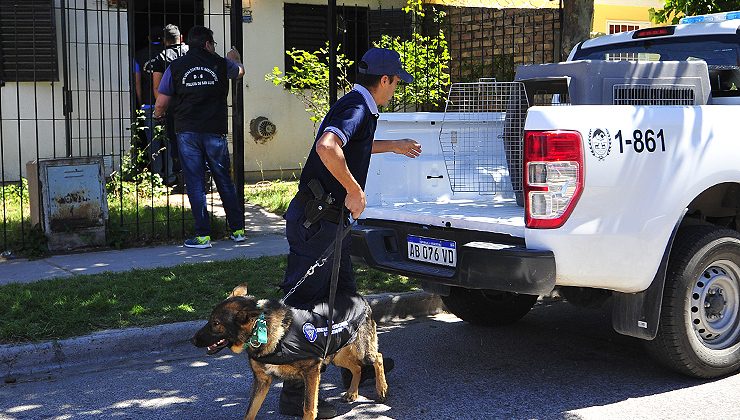 La Policía provincial anuló un centro de distribución de marihuana, cocaína, éxtasis y LSD