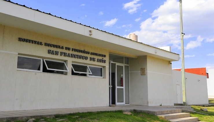 El Hospital Escuela de Pequeños Animales, un centro de interacción para futuros veterinarios y animales