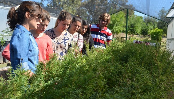 Jóvenes de La Punilla para recuperar los suelos de la Cuenca del Morro