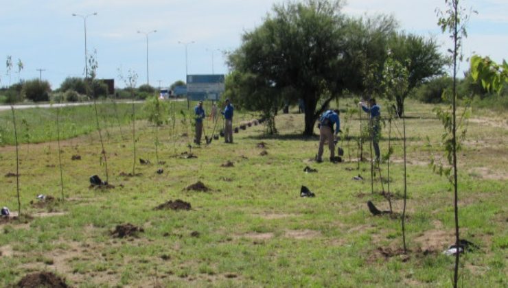 Plantas para todo San Luis: comenzó el Plan Provincial de Forestación