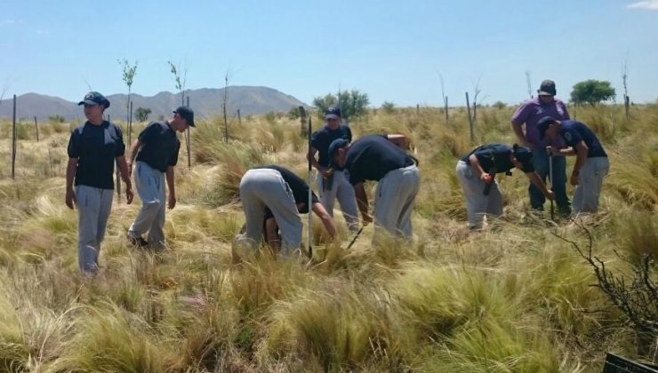 Cuenca del Morro: el Instituto Superior de Seguridad Pública dejó su marca ambiental