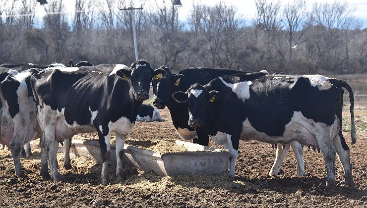 El Laboratorio del Campo sumó un nuevo servicio sanitario