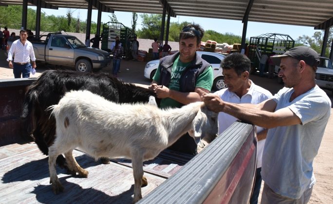 Los kits llegan este miércoles a 16 familias rurales de Río Juan Gómez