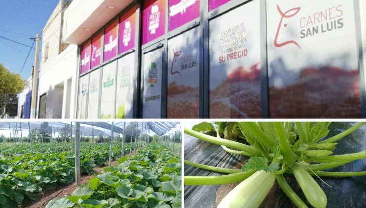 Cosecha del día: verduras frescas y de calidad en el local de “Sol Puntano”