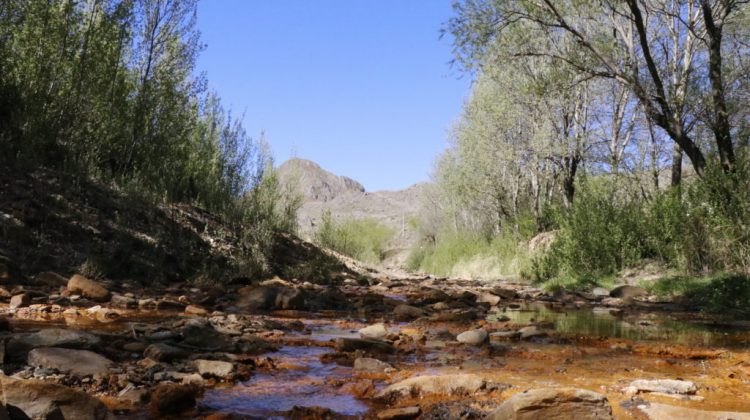 La Carolina, una localidad que nació por la minería