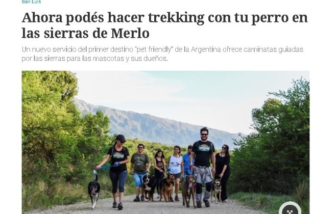 Destacan que Merlo sea el primer destino del país amigable con las mascotas