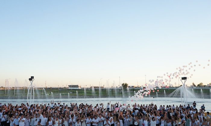 Brindis de despedida del Año de la Juventud en “La Pedrera”