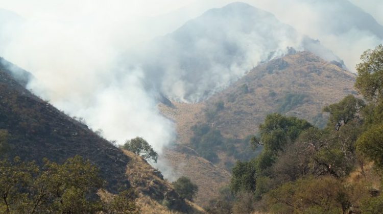 ¿Cuál será el perfil del técnico en incendios forestales?