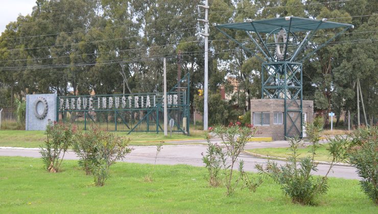 El Gobierno ya forestó con 1.200 árboles los parques industriales de la ciudad