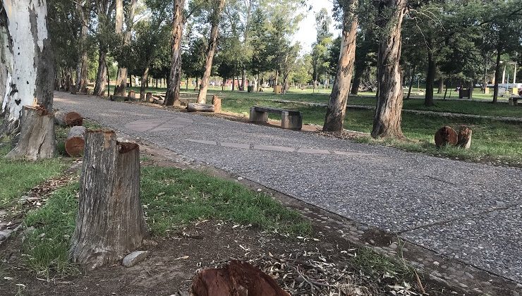 Continúa la reforestación en el Parque de las Naciones