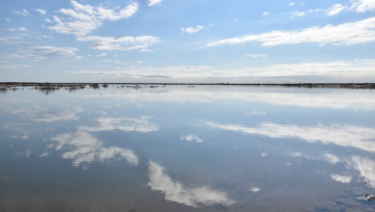 Lagunas de Guanacache, Desaguadero y del Bebedero, Sitio Internacional RAMSAR en San Luis