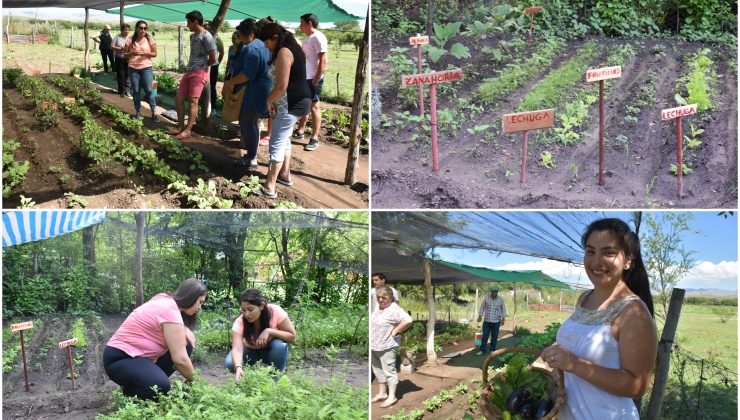 El Ministerio continúa con las capacitaciones para jóvenes en huertas ecológicas