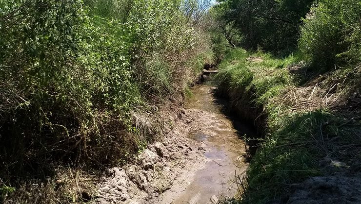 Paso de la Cruz: mayor caudal para actividades productivas