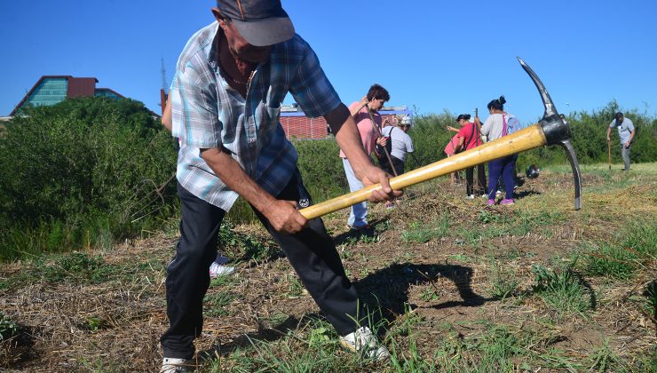 Beneficiarios del Plan Solidario agradecen la oportunidad de trabajo