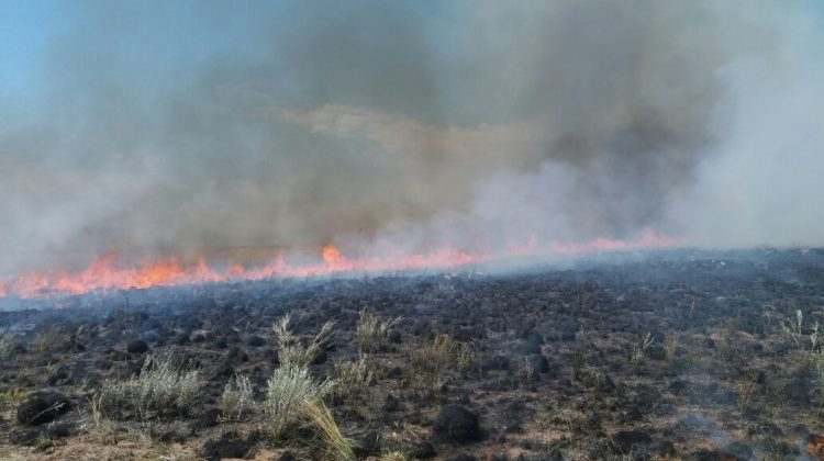 Brigadistas de San Luis Solidario aún combaten las llamas en La Pampa