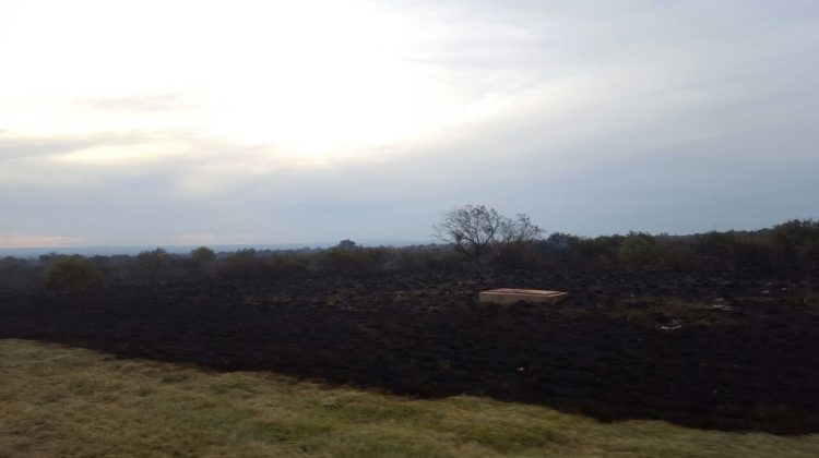 Bomberos controlaron el incendio en La Punta