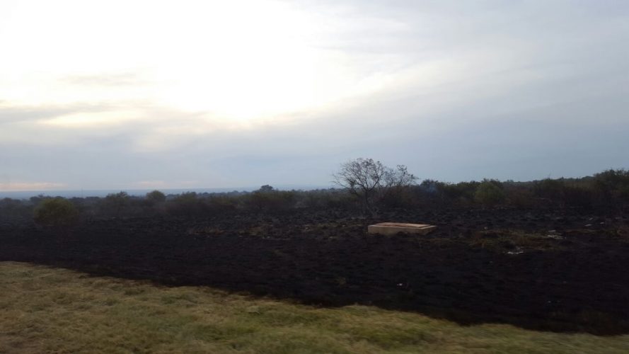 Las llamas quemaron entre 8 y 10 hectáreas del monte natural.