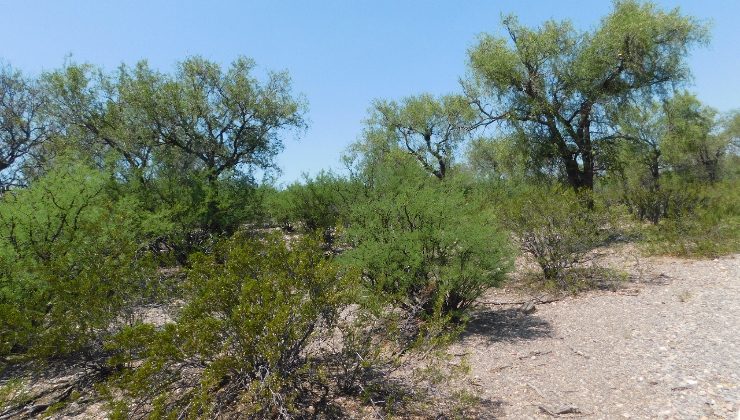 Recorren la provincia para actualizar el ordenamiento territorial de los bosques nativos