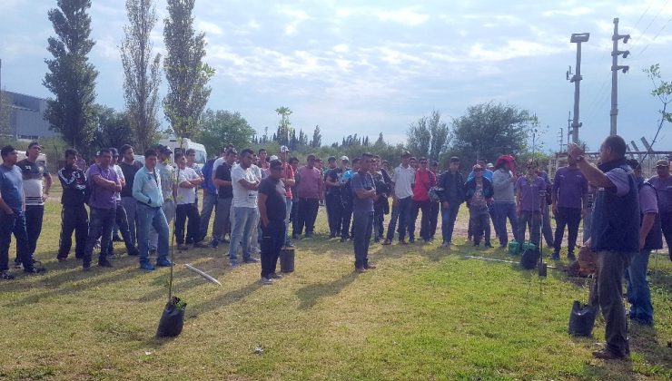 Preparan a beneficiarios del Plan Solidario en tareas de forestación