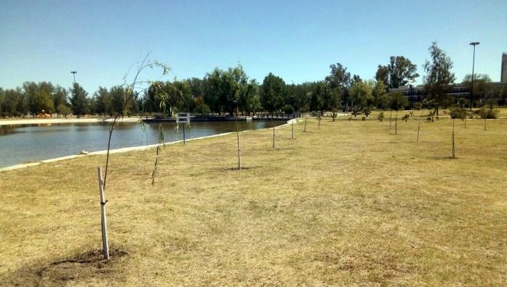 Realizaron tareas de forestación en el Parque Costanera Río V