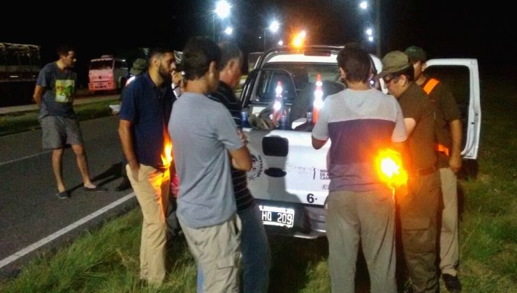 Decomisaron dos camiones que transportaban 72 bovinos sin la documentación correspondiente
