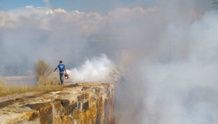 Fumigaciones preventivas en El Trapiche y La Florida