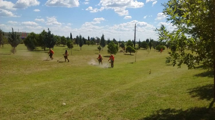 Beneficiarios del Plan Solidario se incorporan a las cuadrillas del Ente Control de Rutas