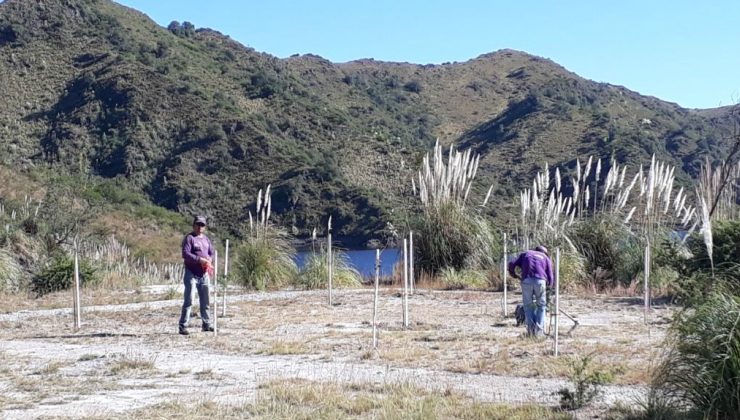 Nuevos árboles realzan el paisaje del dique Esteban Agüero