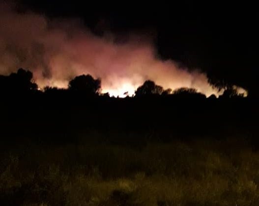 Combaten un incendio en la zona norte de la ciudad de San Luis