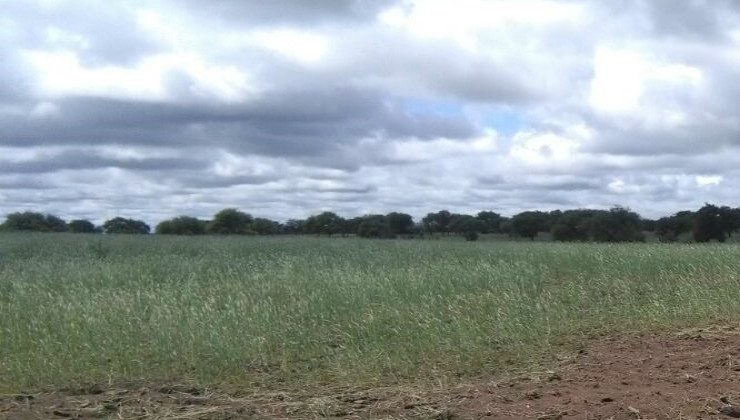 Plan Pasturas: capacitaron a pequeños productores de Unión