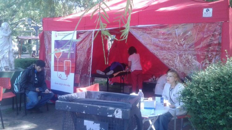 Colecta de sangre y promoción para donar médula ósea