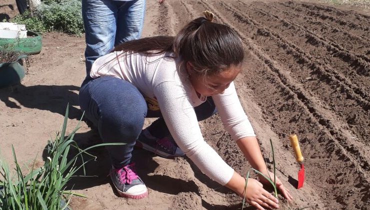 Alumnos de Fortín El Patria producirán sus propios alimentos