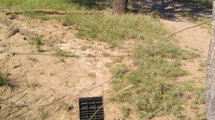 Amplían un acueducto para llevar agua a cerca de 200 vecinos de dos parajes