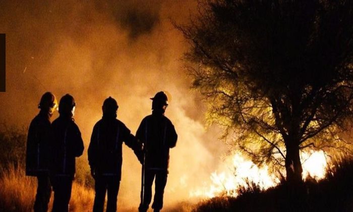 700 hectáreas se quemaron durante un incendio en las afueras de la ciudad de San Luis