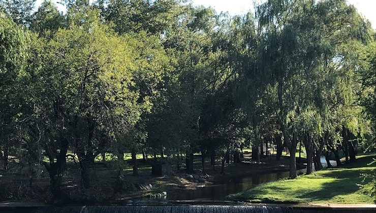 Refuerzan los trabajos de mantenimiento y cuidado en el Parque IV Centenario