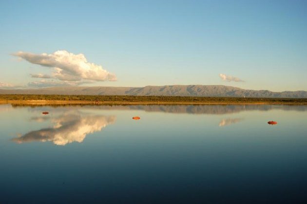 Villa General Roca realiza su 17º Festival del Algarrobo