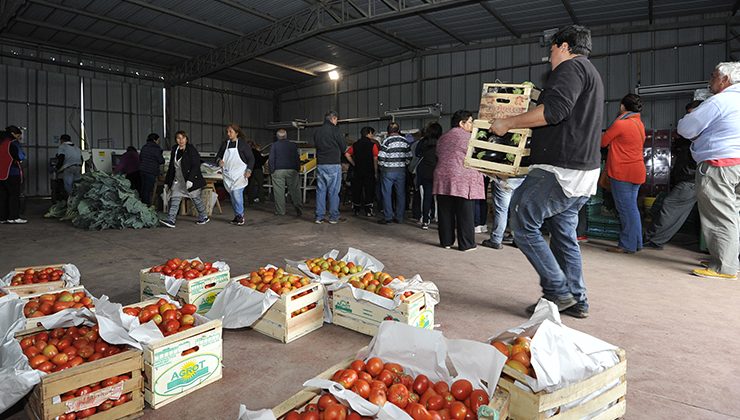 Sol Puntano abrió sus puertas para que los sanluiseños adquieran verduras y frutas frescas a precio justo