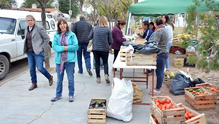 Realizaron una feria de hortalizas en el barrio Campaña del Desierto