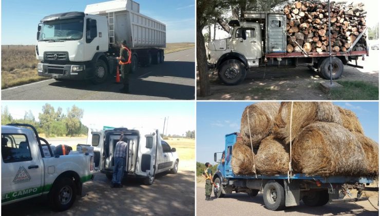 Múltiples decomisos en las rutas provinciales durante el fin de semana largo