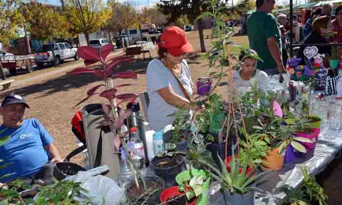 Exitosa feria para los productores de las Parcelas Hortícolas