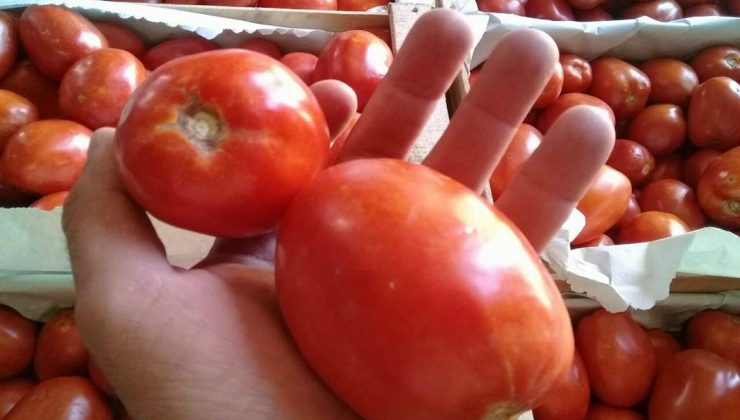 “Sol Puntano” abre sus puertas para vender frutas y verduras a un precio justo