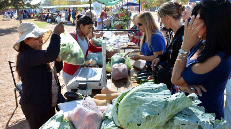 Feria de hortalizas en el barrio El Pimpollo